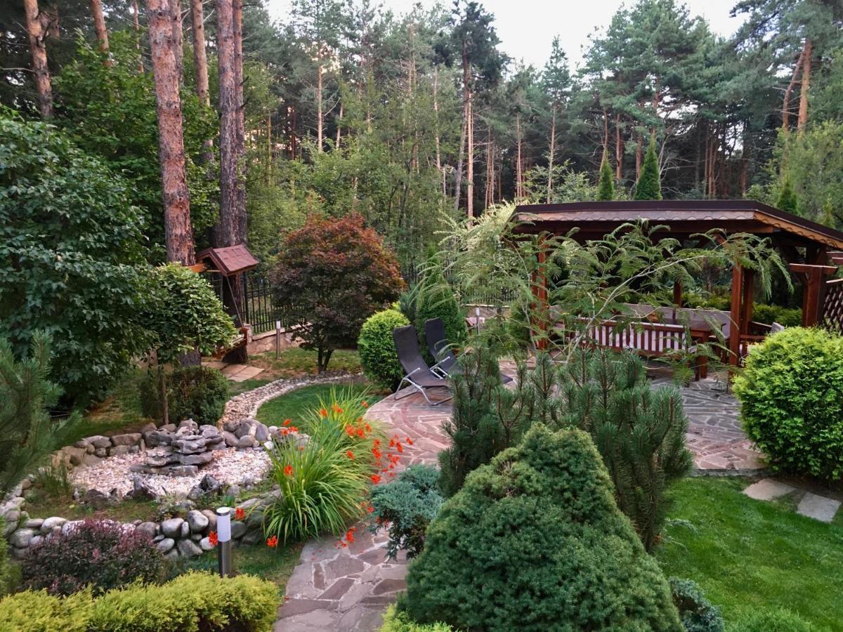 Luxury Villa Borina Zheleznitsa Exterior foto