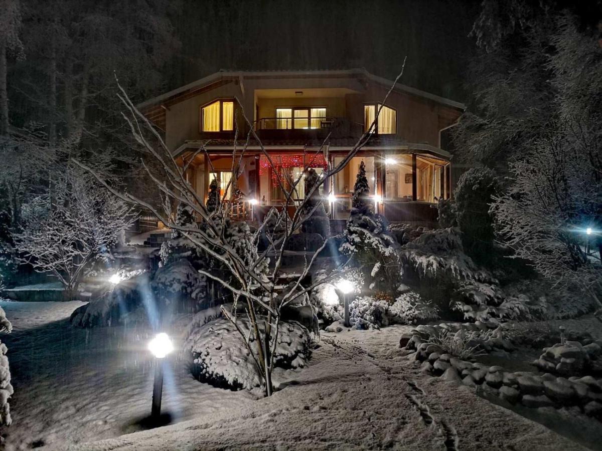 Luxury Villa Borina Zheleznitsa Exterior foto